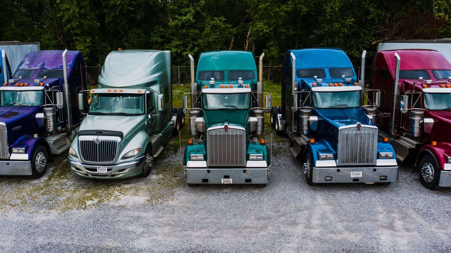 American semi trucks parked side by side in a leafy truck yard